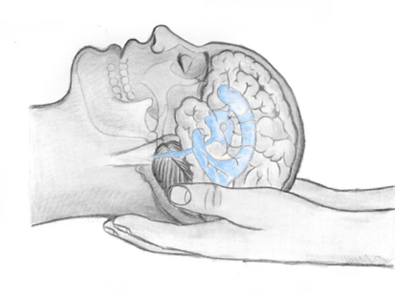 Craniosacraler Griff am Ventrikelsystem